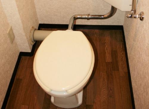 バス/トイレはセパレート、ペットも飼えます。