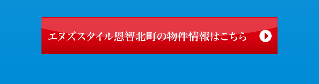 エヌズスタイル恩智北町の物件情報はこちら