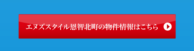 エヌズスタイル恩智北町の物件情報はこちら